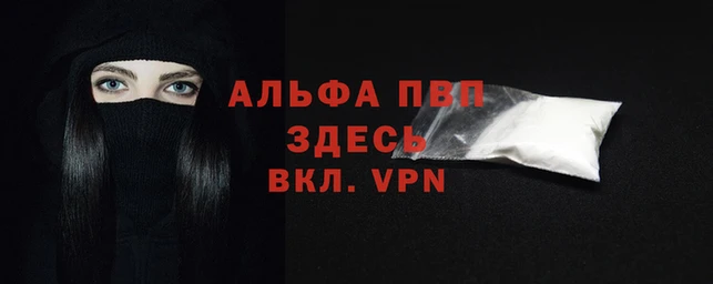 стаф Белоозёрский