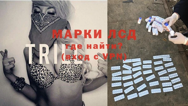 стаф Белоозёрский