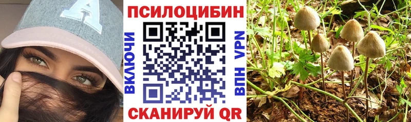 Псилоцибиновые грибы MAGIC MUSHROOMS  omg рабочий сайт  Валуйки 